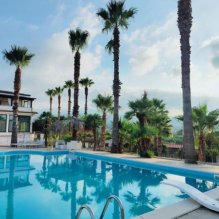 Palm House Bed and Breakfast Lamezia Terme Eksteriør billede